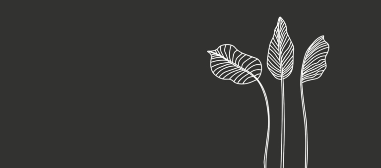 Grafica per Comunicato stampa lighting genova